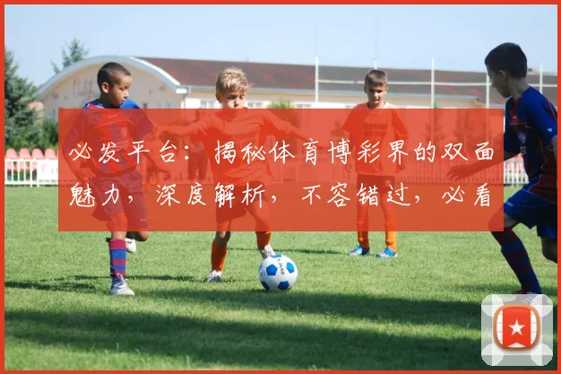 必发平台：揭秘体育博彩界的双面魅力，深度解析，不容错过，必看攻略