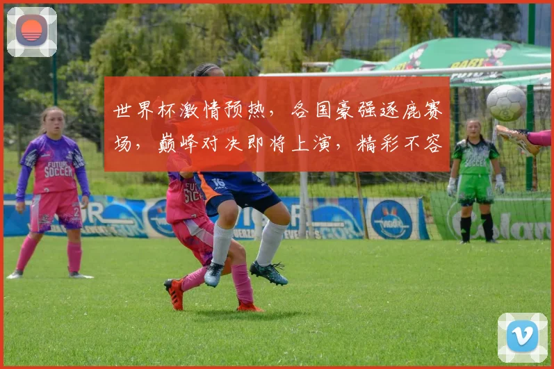 世界杯激情预热，各国豪强逐鹿赛场，巅峰对决即将上演，精彩不容错过，敬请关注