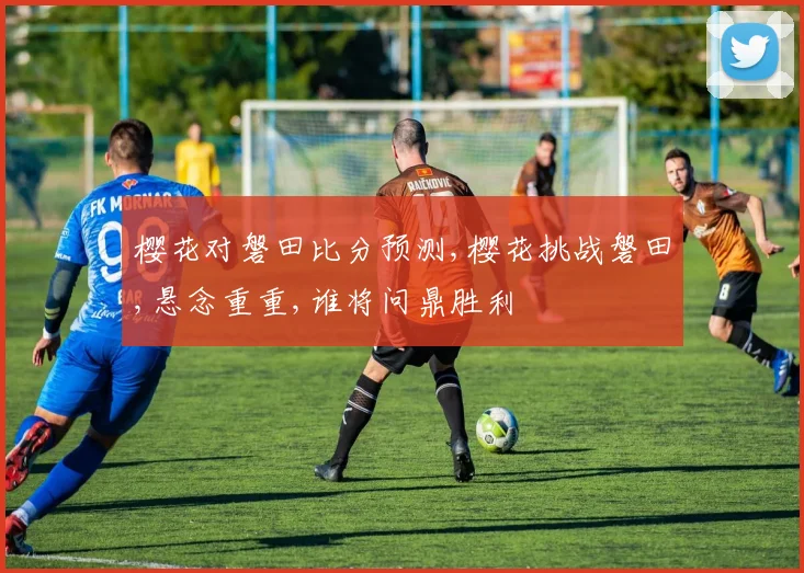 樱花对磐田比分预测,樱花挑战磐田,悬念重重,谁将问鼎胜利