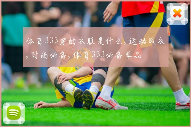 体育333穿的衣服是什么,运动风衣,时尚必备,体育333必备单品
